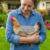 Anti-Pecking Hen Apron Adjustable Poultry Apron Protective Gear Chicken Saddle  Pecking Prevention