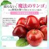 Hadagiwa Cleansing Gel - No Double Cleansing Required - Makeup Remover Gel - Made with Job's Tears - Suitable for Sensitive Skin - Removes Pores and