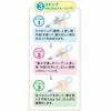 Skater Children's Training Chopsticks, Practice Chopsticks, 14cm, Disney Frozen, Special Case Included, Ages 2-7, Right Hand, Easy-to-Pick Square Chop