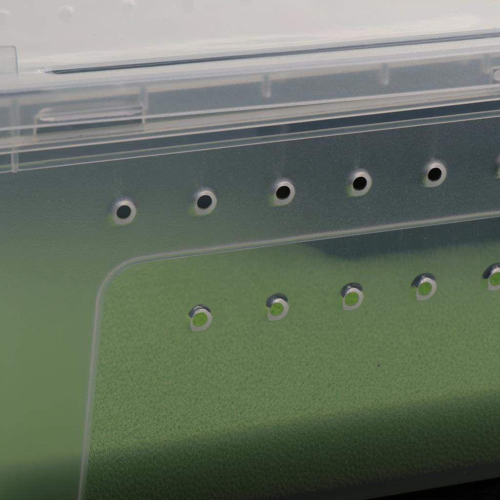 Pet Reptile Spider Breeding Box Transport Case Feeding Hatching Tank