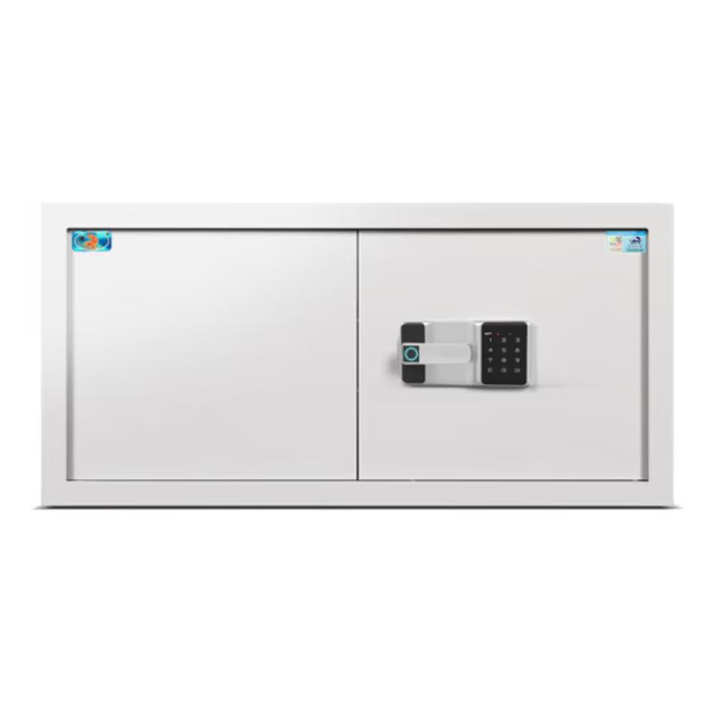 Tiger Brand Compact Fingerprint Office Security Cabinet