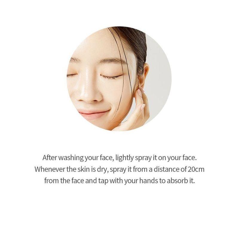 Pretty Skin - The Pure Jeju Cica 99 Mist