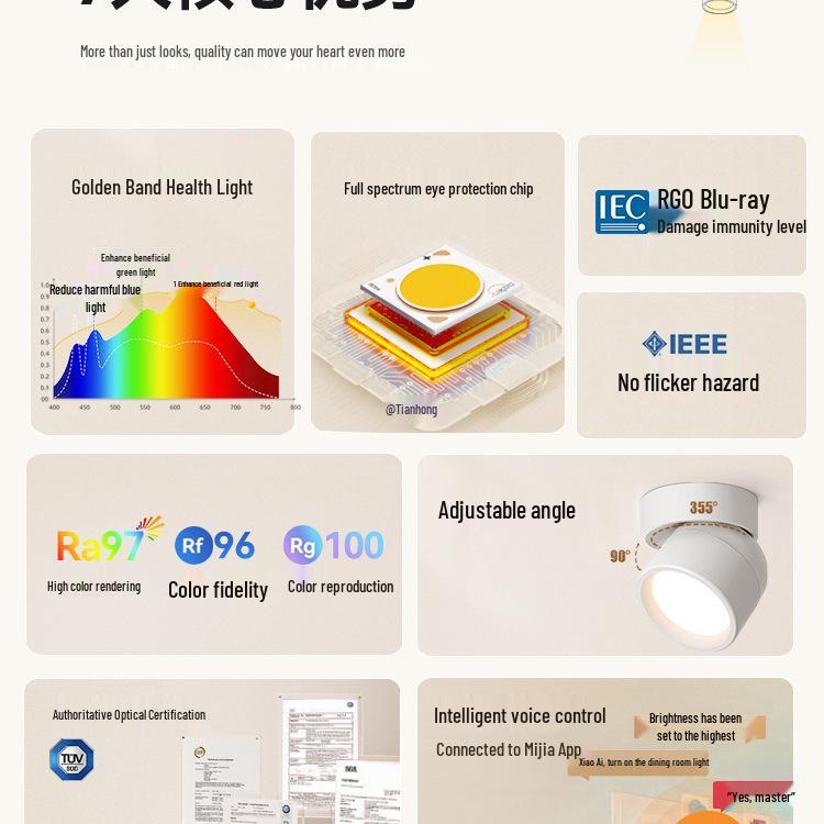 Adjustable Rotatable Surface-Mounted Downlight for Living Room, Aisle, Entrance, Bedroom - No Main Light Required