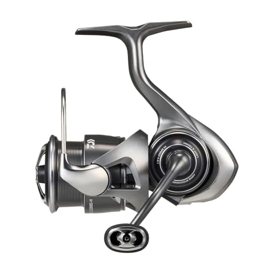 DAIWA Spinning Reel 25 CALDIA FC LT2000S-H