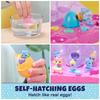 Hatchimals Alive, Egg Carton Toy with 5 Mini Figures In Self-Hatching Eggs, 11 Accessories, Kids Toys for Girls and Boys Ages 3 and Up