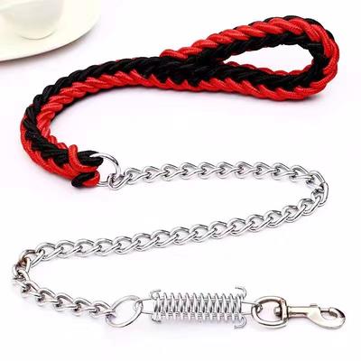Cani – Collari e guinzagli per cani
