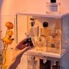 Cutie de depozitare parfumuri Cabinet de expunere acrilic rezistent la praf Masă de toaletă simplă de lux ușor Organizator de birou pentru cosmetice