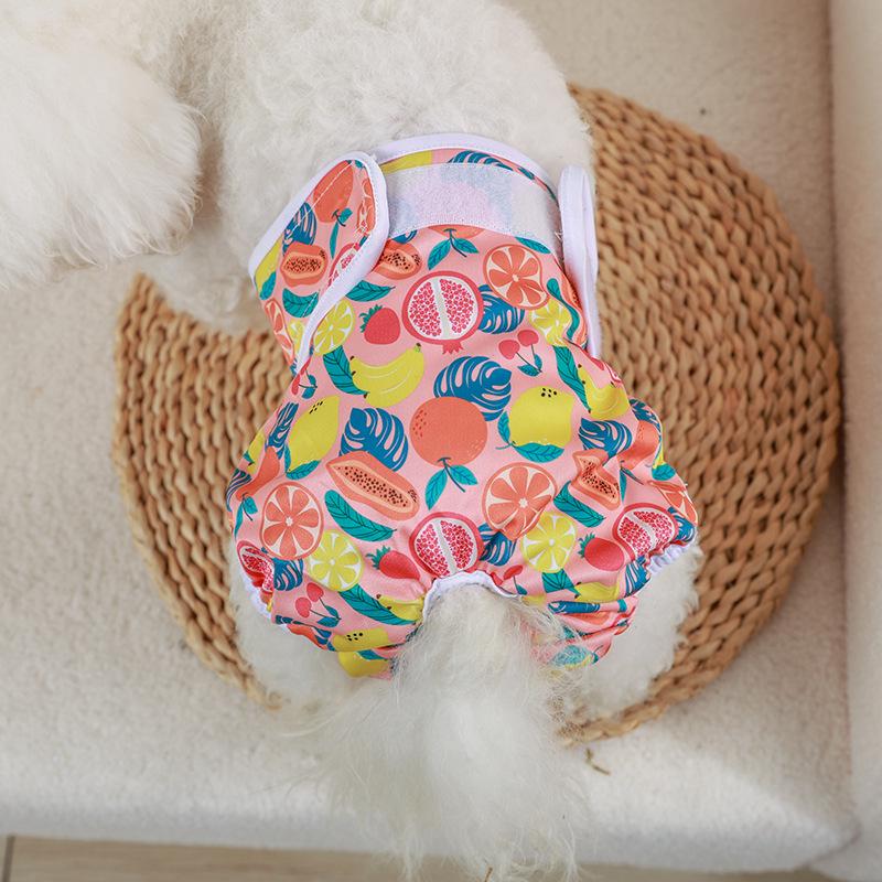 Pantaloni fisiologici per cani femmine - Pannolini mestruali e vestiti per animali domestici per primavera/estate.