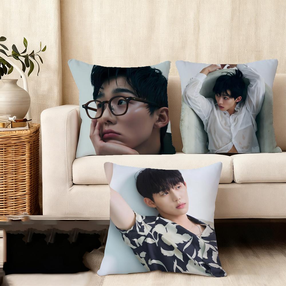 Seo Bumjune Actor Cushion Cover Silky Short Plush Home Sofa Cushion Cover - Invisible Zipper Home Decoration