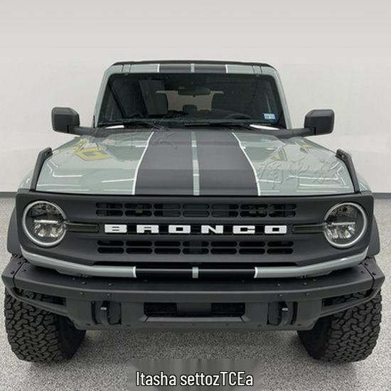 Bronco Wild Horse Car Hood & Pinstripe Stickers for Decoration & Modification