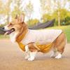 Warme Baumwoll-Hundekleidung für mittlere und große Rassen: Herbst/Winter-Stil für Corgis, Border Collies, Dobermänner und Golden Retriever