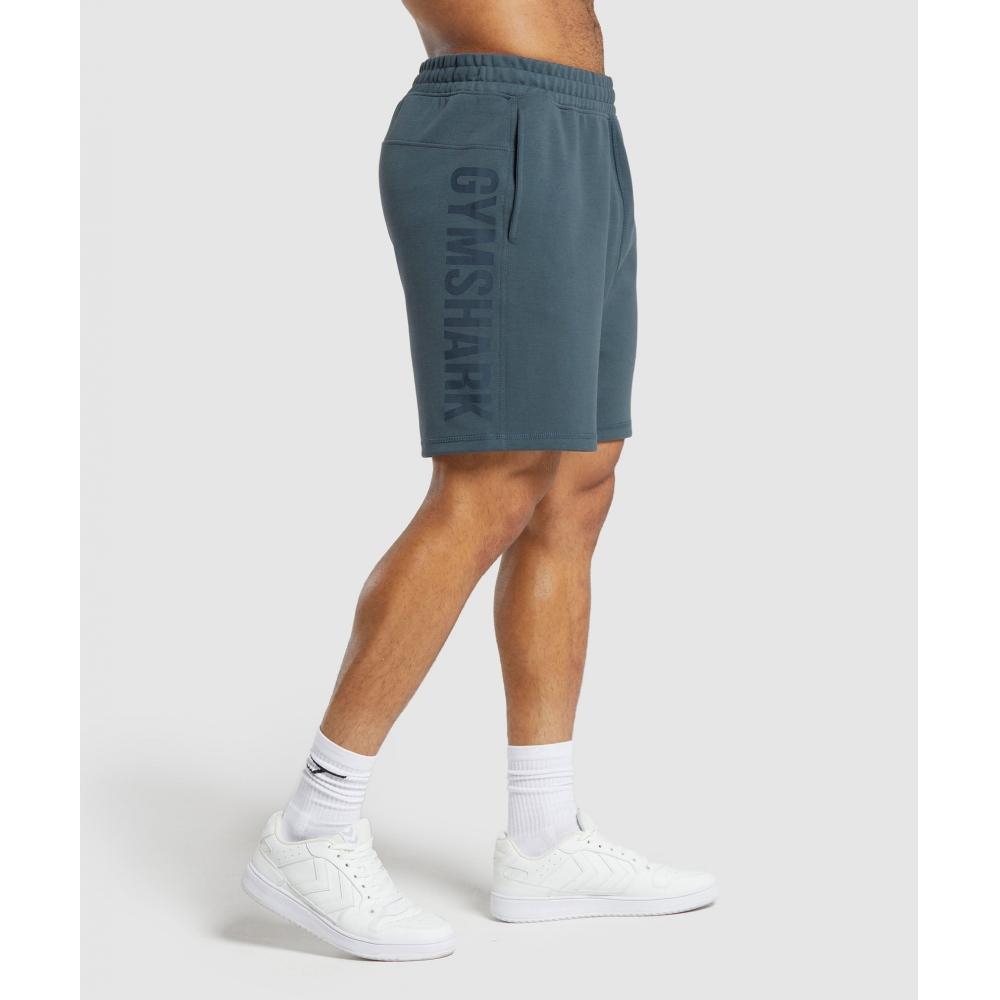 

GYMSHARK Ударные шорты Титановый синий A6A5V UCMQ XS