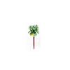 Bonsai Coconut Garden Decoration Rainforest Scenery Model Artificial Palm Tree Miniature Landscape