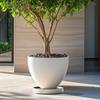 Heavy Duty Movable Plant Stand Round Plants Pots Holder Portable Rolling Plant Tray  Flowerpot