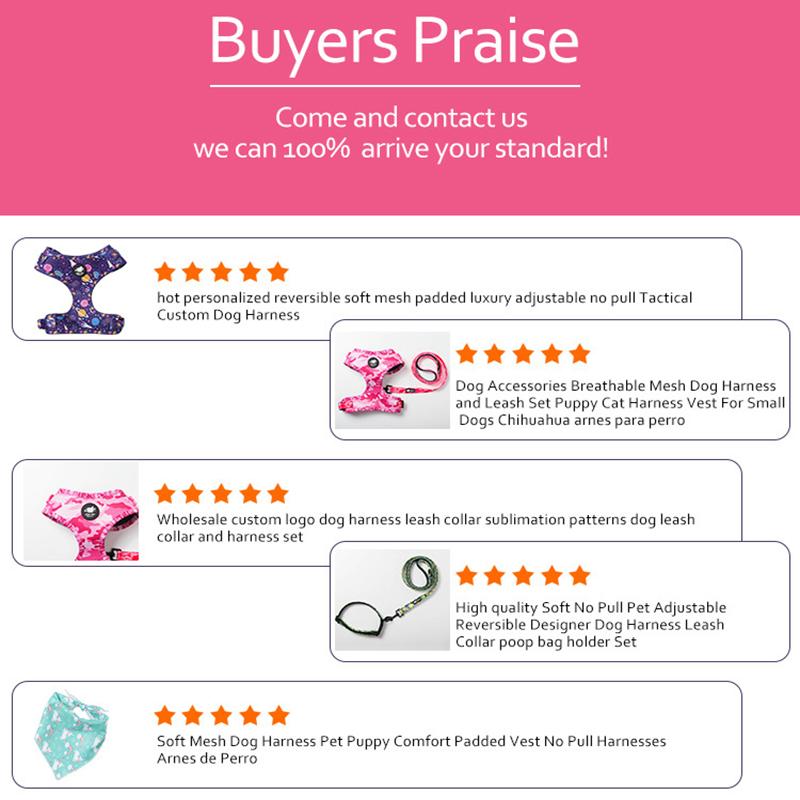 Pet Harness Vest Collar Leash Set Adjustable Dog Collar Dog Poop Bag Holder Dogs Bowtie Triangle Scarf Set Dog Accessories