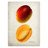Classic Fruit Kitchen Antique Canvas Painting Retro Print Pear Apple Pineapple Wall Art Deco Picture,High Quality for Home Decor