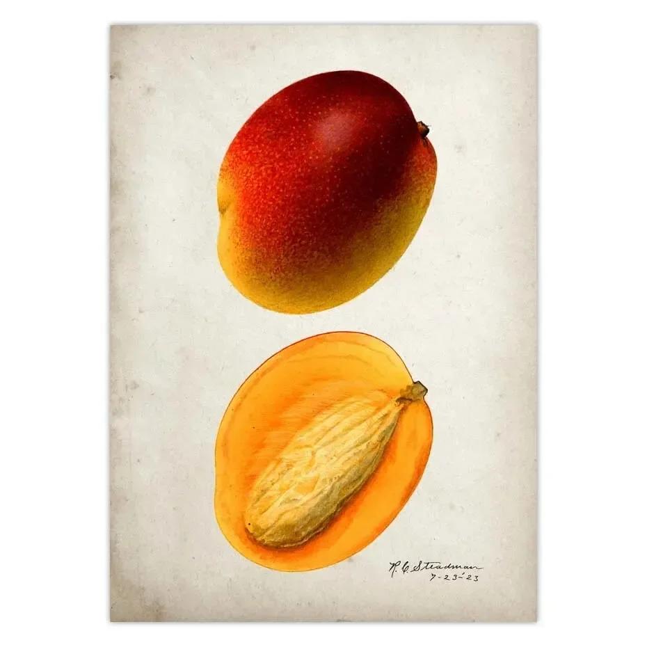 Classic Fruit Kitchen Antique Canvas Painting Retro Print Pear Apple Pineapple Wall Art Deco Picture,High Quality for Home Decor