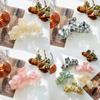 High-end Multi-color Acetate Hair Claw Clip For Chic Hairstyles And Fashionable Looks