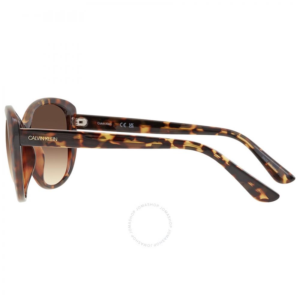 Calvin Klein Brown Gradient Cat Eye Ladies Sunglasses Ck19560s 235 57