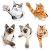 Gato Siamês Engraçado Quebrando Animal de Estimação Adesivo de Carro Vinil Impermeável Decalques Decoração de Carroceria e Janela Adesivos para Capacete de Moto M458