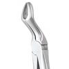 GDC Extraction Forceps Upper Third Molars - 67a Standard (Fx67as)