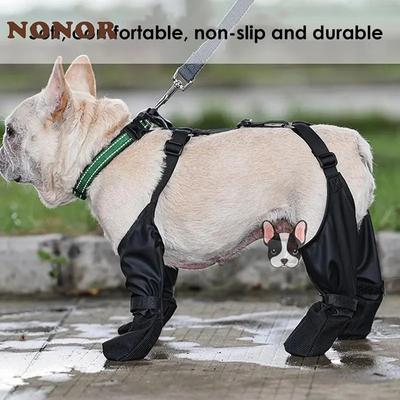 Abbigliamento e scarpe – Scarpe per cani