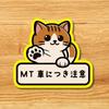 Magnetic Sticker for Cars, Beginners, MT Cars, Recording, Caution, Magnet MT Cars, Cat Pattern