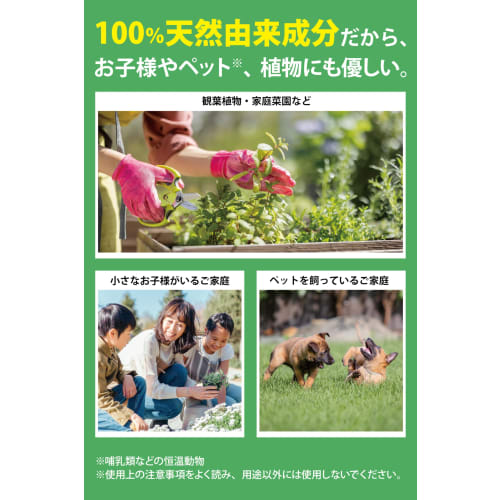 Stink Bug Spray, 300ml, Stink Bug Control, Stink Bug Repellent, Made in Japan, Natural Ingredients, Stink Bug Control Tool, Extermination, Plants, Gar