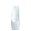 ZLIII Men's Wall-Mounted Ceramic Urinal