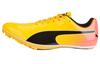 EvoSpeed Sprint 14 'Sun Stream Sunset Glow'