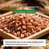 Xinle Hetao Plain All-Purpose Wheat Core Flour