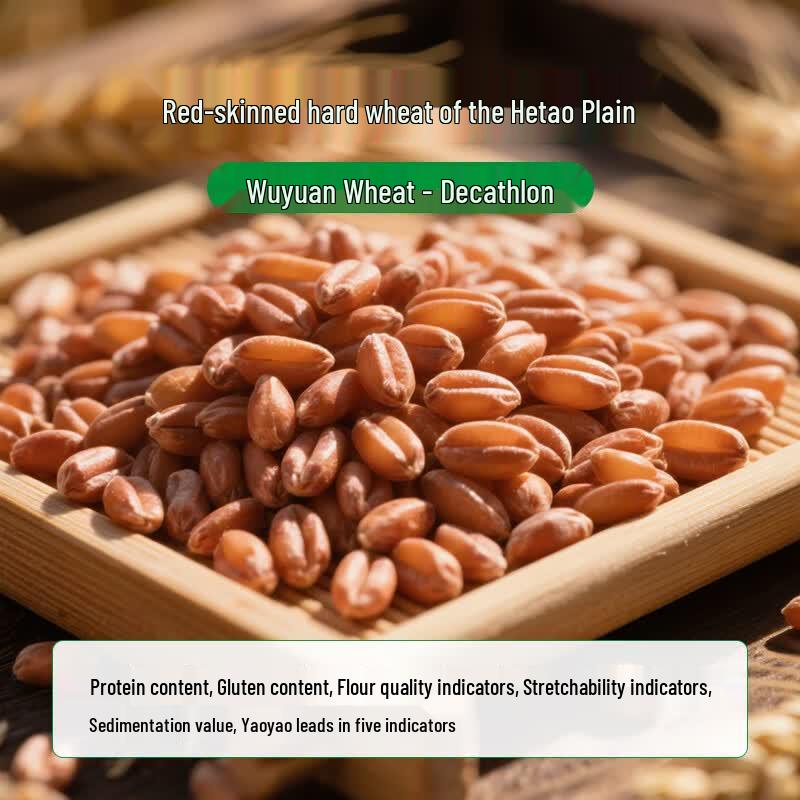 Xinle Hetao Plain All-Purpose Wheat Core Flour