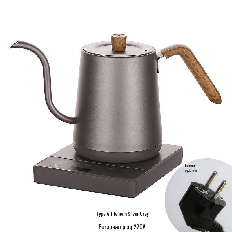 Stainless Steel Electric Gooseneck Kettle with Temperature Control