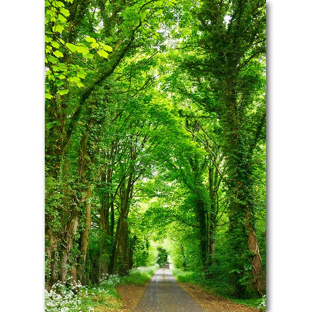 Vertical Board Beautiful Forest Scenery Modern Photo Painting Highway Winding Lines Wall Stickers HD Printing Art Decoration
