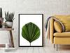 Picture Poster In a Frame 43x33 Cm Leaf P1150