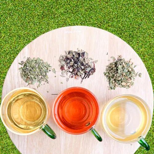 [Nature Shop] Tea Bag Collection (Lemon Myrtle 5 Packs + Hibiscus 5 Packs + Ginger 5 Packs)