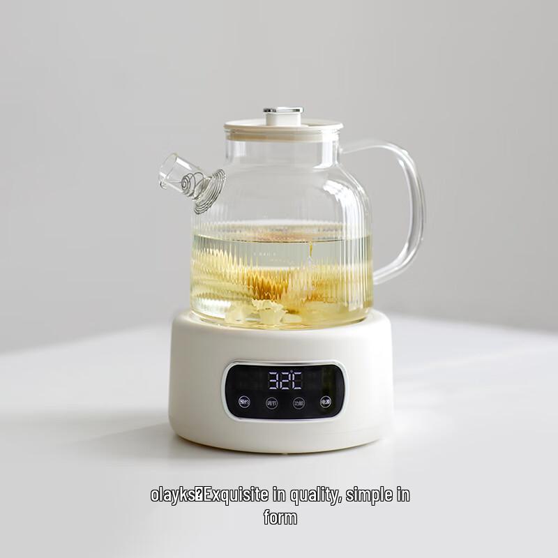 olayks 1,2L Vollglas Gesundheitswasserkocher CN-Stecker (Adapter enthalten)