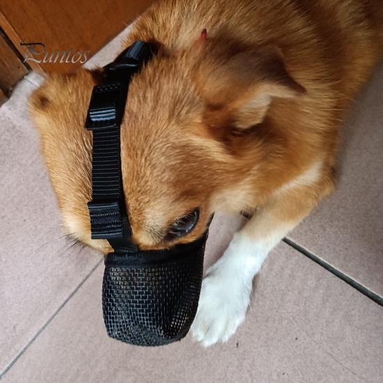 Nastavitelný náhubek pro psy z měkké síťoviny pro malé a střední psy Zabraňuje kousání Žvýkání Prodyšný náhubek pro domácí mazlíčky