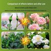 Zhiya Organic Decomposed Cake Fertilizer - Natural Base for Vegetables, Flowers, and Home Gardens.