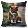 Lustige Süße Katze Kissenbezug Deko Schön Haustier Tierdruck Kissenbezug Polyester Überwurf Kissenbezug für Sofa Zuhause Auto 45x45cm