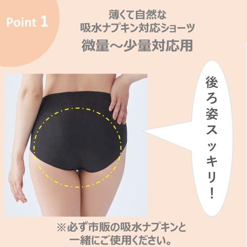 Gunze Women's Cell Fair Urinary Incontinence Pants (Compatible with Absorbent Pads, Small Flow) Rose Pink, Size L