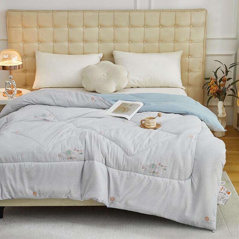 Bijiaman BGM-B2550 Warm Washed Cotton Winter Quilt