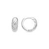 Luxenter Earrings with - Silver Finish - Usma