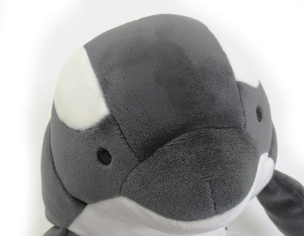 Morisaka Global Mochi Shachi Medium 12 x 15 x 20cm Killer Whale Plush Soft to the Cute Mochi Toy, Aquarium, Relaxing, Touch, Animal, Series, MOSC-0230