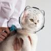 Portable Cat Head Cover Head Protection Space Ball Transparent Bite Proof Scratch Proof Breathable Sturdy Safe Pet Cat Supplies