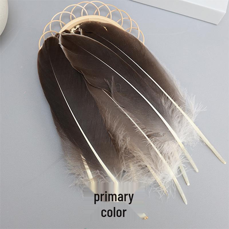 Barevná barvená velká husí pera pro DIY řemesla, ručně vyráběné dekorace a projekty pro mateřské školy