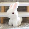 1Pcs Easter Bunny Rabbits Simulation Soft Fur Color Starry Sky Color Cute Bunny Children Plush Interactive Animal