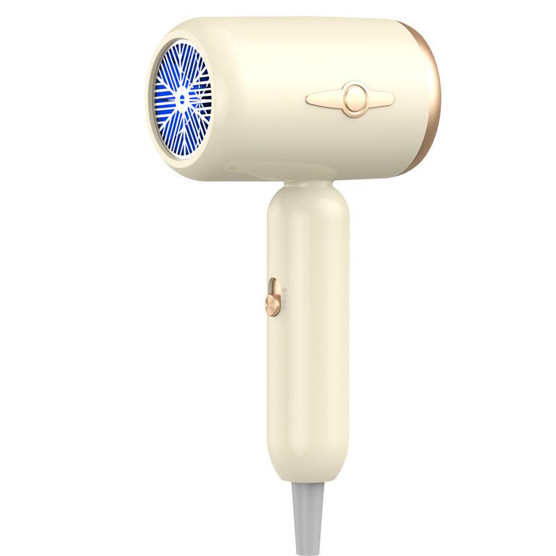 High Power Blue Light Negative Ion Hair Dryer for Home or Dorm