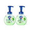 Safeguard Green Apple Antibacterial Foam Hand Wash
