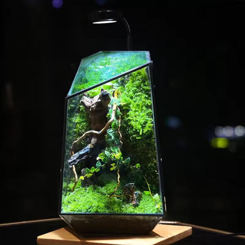 Mikro-Landschaft Kreativer Blumentopf Unregelmäßig geformtes Ornament Moos Sukkulenten Glasvase Heimdekoration